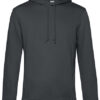 BIO Kapuzen Sweater I 4c bedruckt – Bild 3