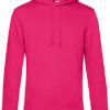 BIO Kapuzen Sweater I 4c bedruckt – Bild 10